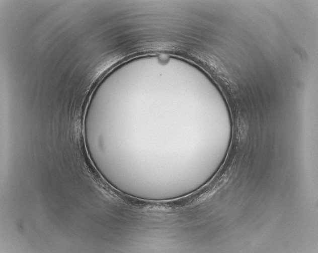 X0000115431073200911251221