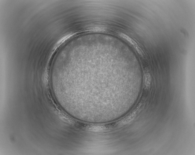 X0000115431074200911251221