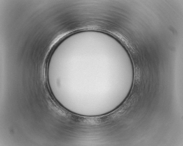 X0000115431078200911251221