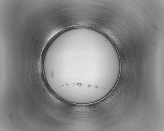 X0000115431079200911251221