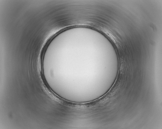 X0000115431080200911251221