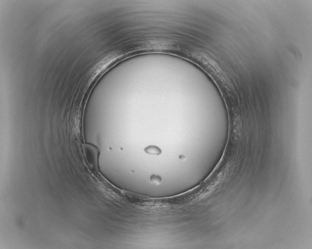 X0000115431081200911251221