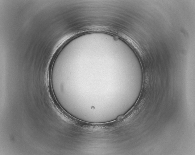 X0000115431082200911251221