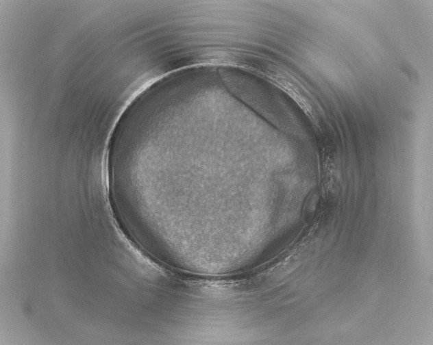 X0000115431084200911251221