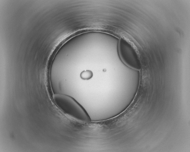 X0000115431085200911251221