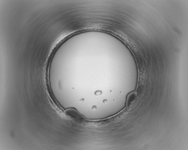 X0000115431086200911251221