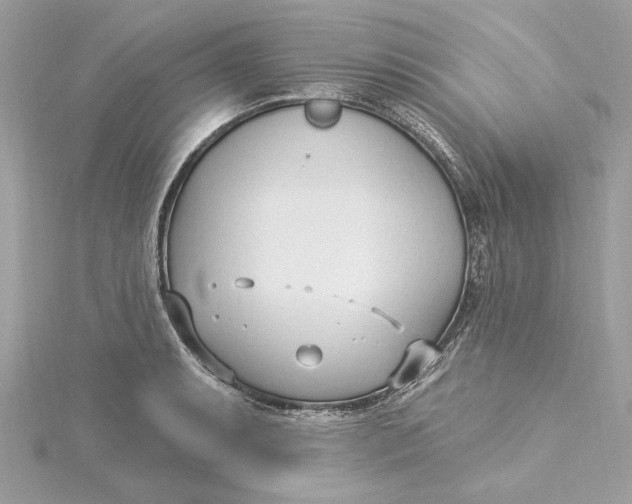 X0000115431087200911251221