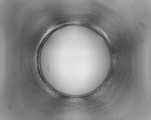 X0000115431091200911251220