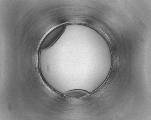 X0000115431092200911251220