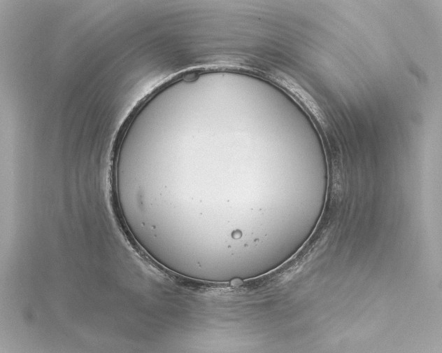 X0000115431093200911251220