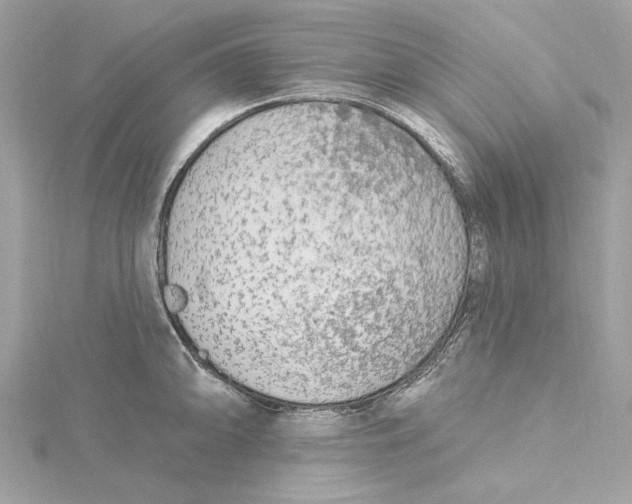 X0000115431094200911251220