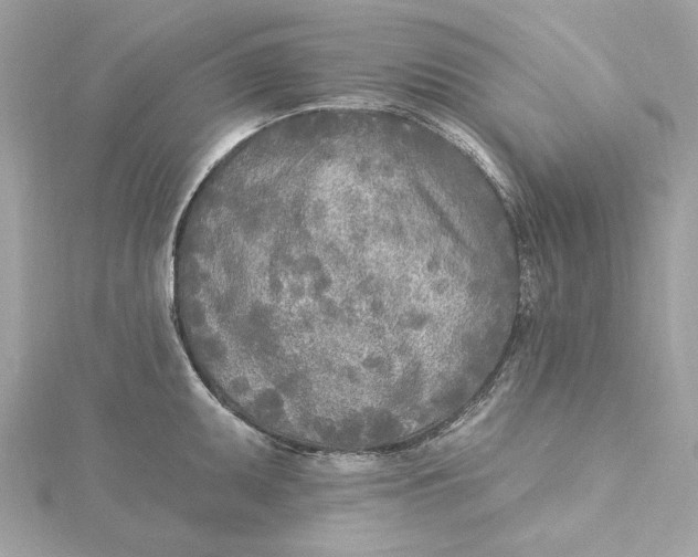 X0000115431095200911251220