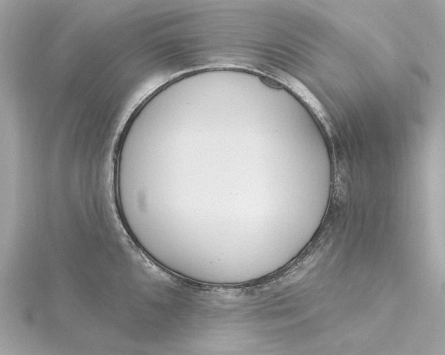 X0000115431096200911251220