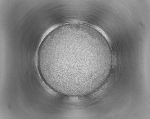 X0000115431098200911251220