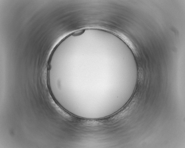 X0000115431100200911251220