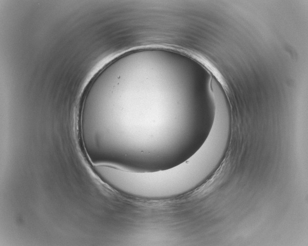 X0000115431101200911251220