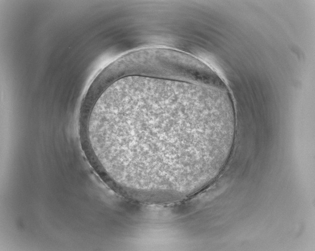 X0000115431104200911251220