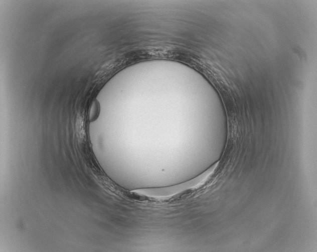 X0000115431106200911251220