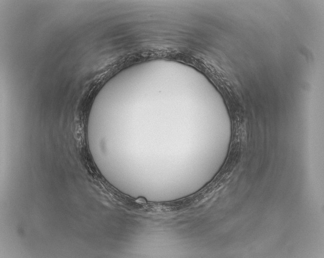 X0000115431109200911251220