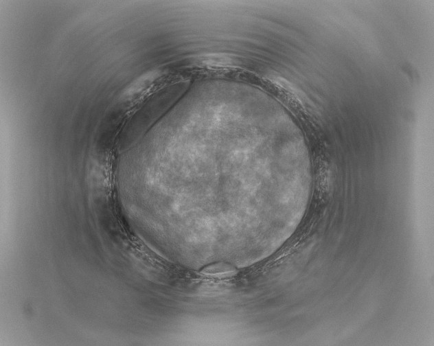 X0000115431110200911251220