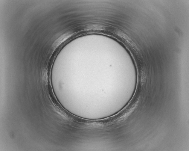 X0000115431113200911251220