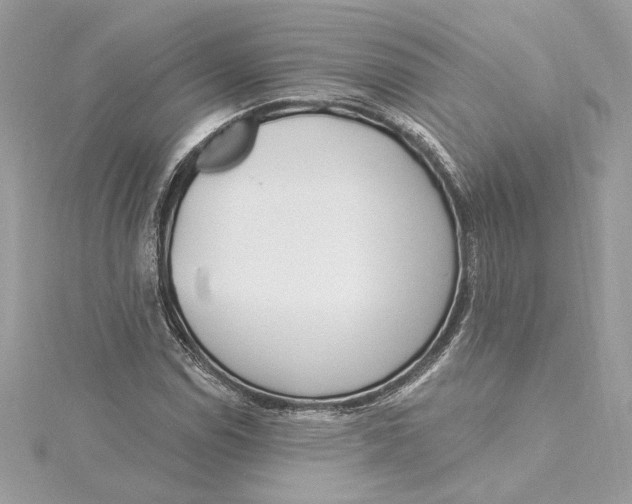 X0000115431114200911251220