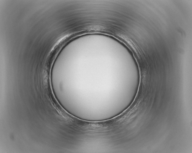 X0000115431115200911251220