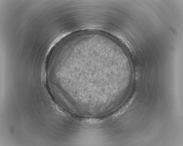 X0000115431117200911251220