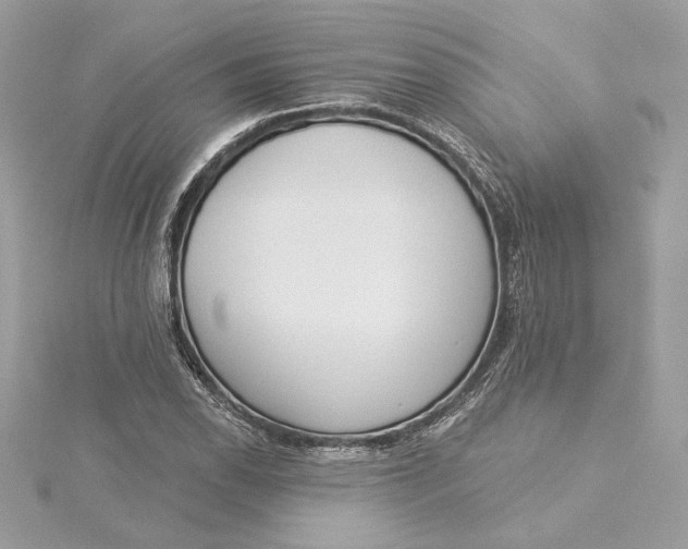 X0000115431118200911251220