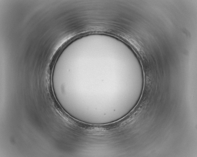 X0000115431119200911251220