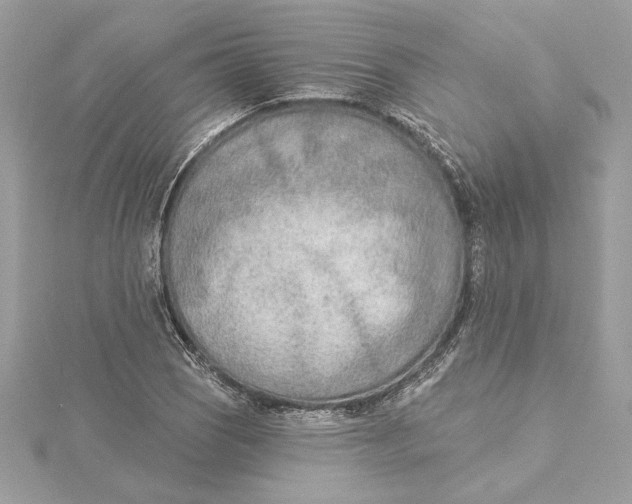 X0000115431121200911251220