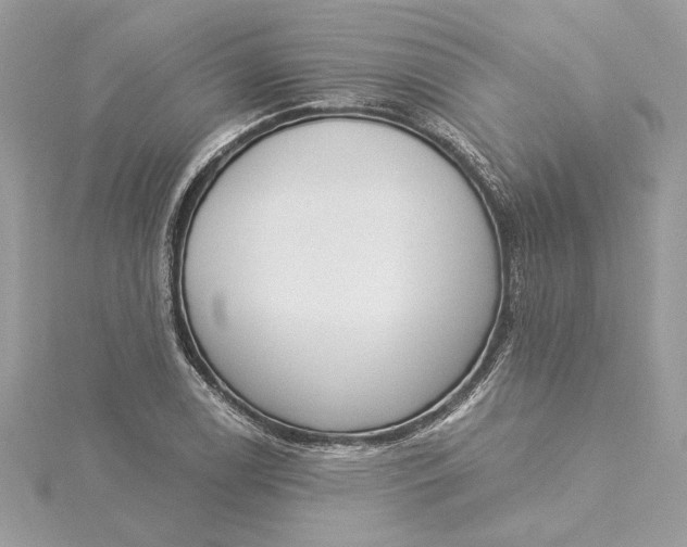 X0000115431122200911251220