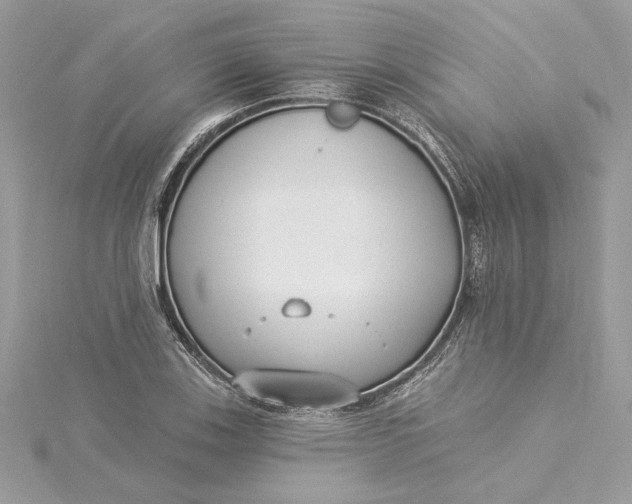 X0000115431123200911251220