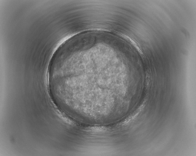 X0000115431125200911251220