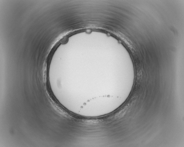 X0000115431126200911251220