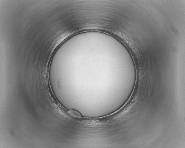 X0000115431129200911251220