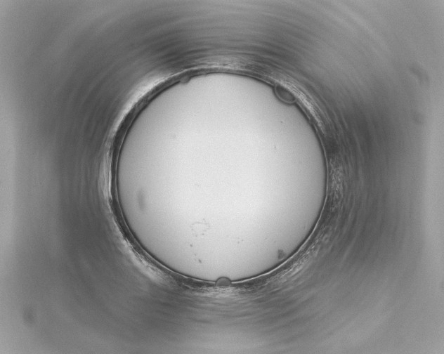 X0000115431131200911251220