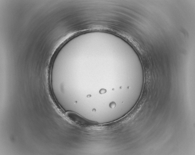 X0000115431134200911251220