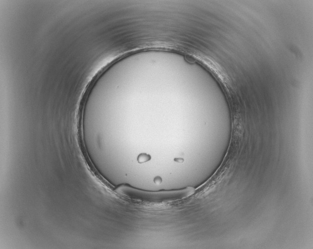 X0000115431135200911251220