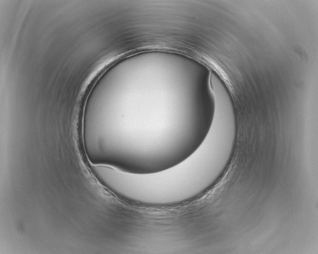 X0000115431138200911251220