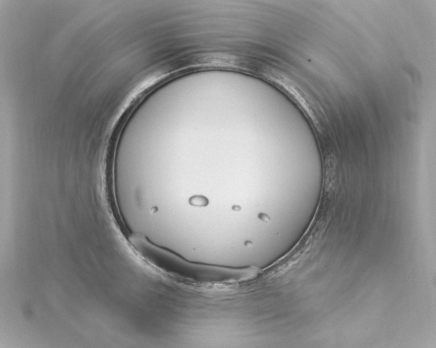 X0000115431139200911251220