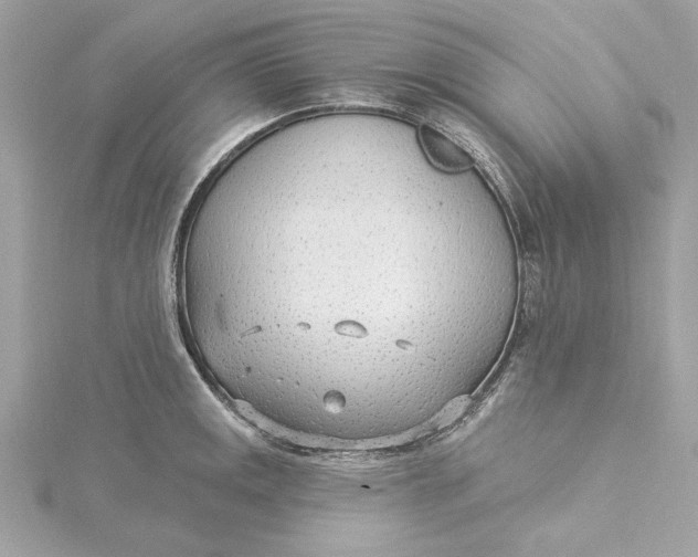 X0000115431141200911251220