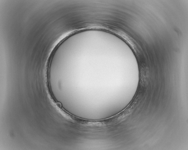 X0000115431142200911251220