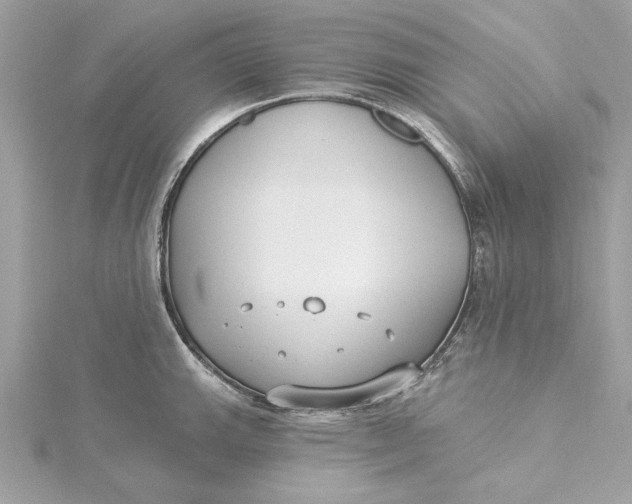 X0000115431143200911251220