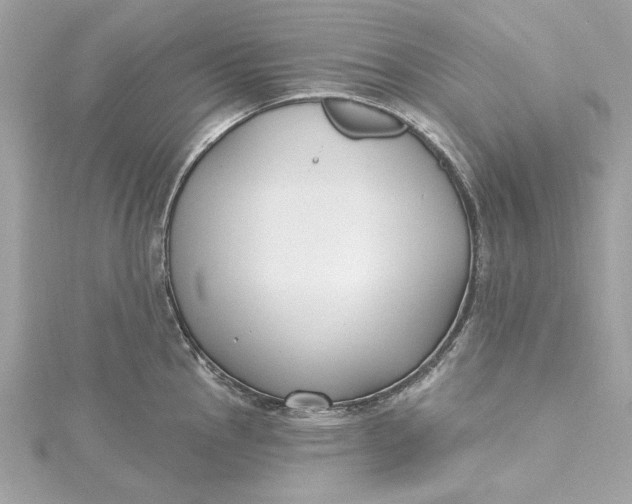 X0000115431145200911251220