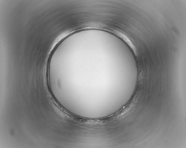 X0000115431146200911251220