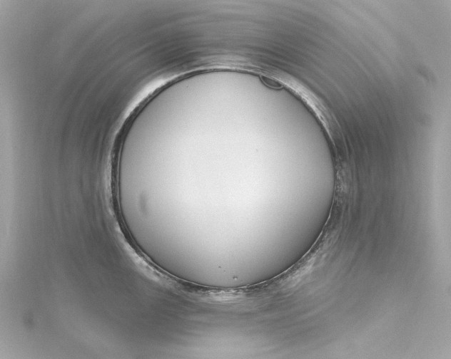 X0000115431147200911251220