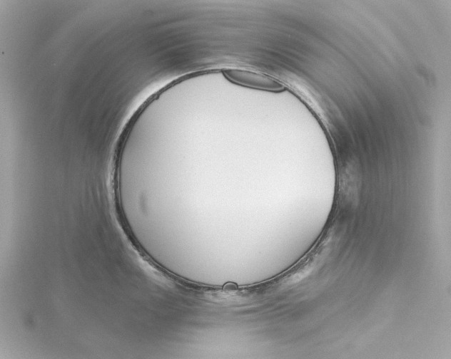 X0000115431149200911251220