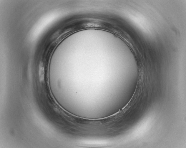 X0000115431151200911251220