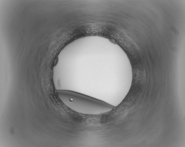 X0000115431153200911251219